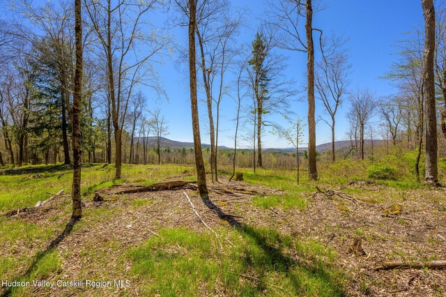0 Mitchell St, Hillsdale, NY 12529 - photo 23