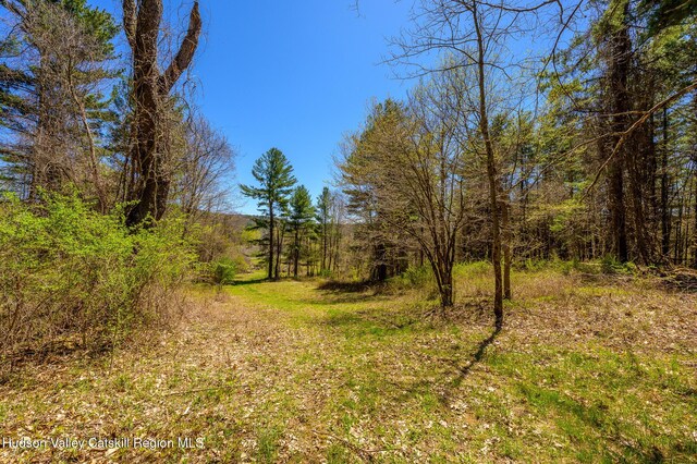 0 Mitchell St, Hillsdale, NY 12529 - photo 19