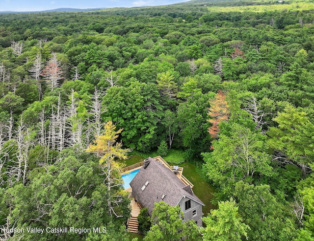 169 Stoll Rd, Saugerties, NY 12477 - photo 30
