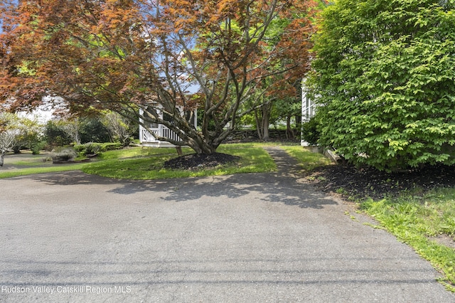 207 Maple Ave, Germantown, NY 12526 - view of road