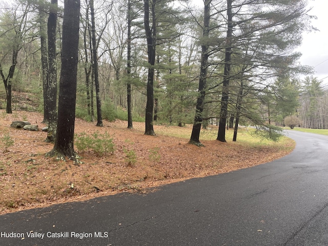 TBD Dianne Dr, Ellenville NY, 12428 land for sale