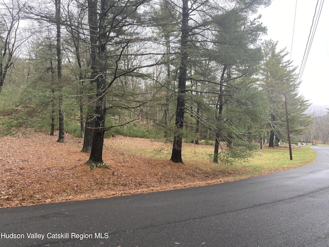 Listing photo 2 for TBD Dianne Dr, Ellenville NY 12428