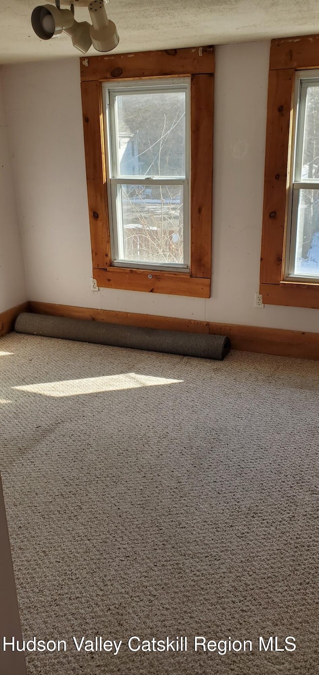 unfurnished room featuring carpet flooring