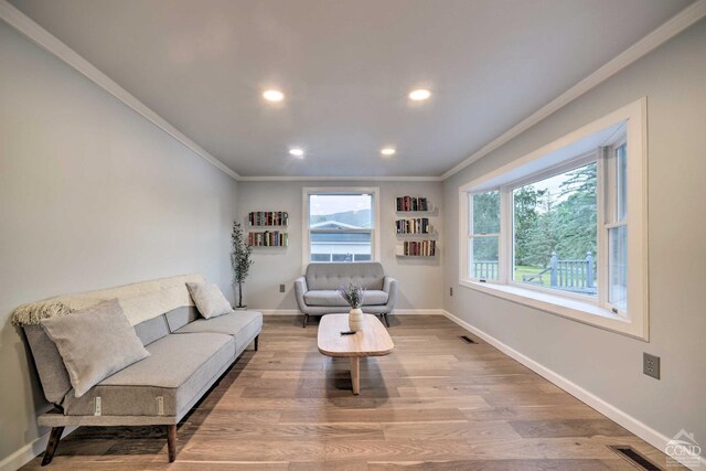 871 Mail Route Rd, Ashland, NY 12407 - living area featuring crown molding, wood finished floors, baseboards, and recessed lighting
