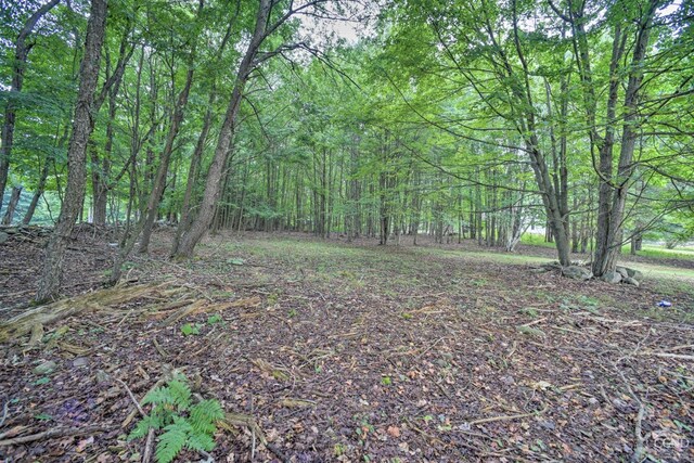 871 Mail Route Rd, Ashland, NY 12407 - view of yard featuring a forest view