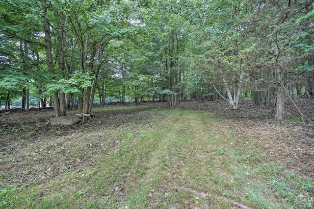 871 Mail Route Rd, Ashland, NY 12407 - view of yard featuring a forest view