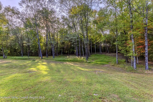 new england style home with a front yard