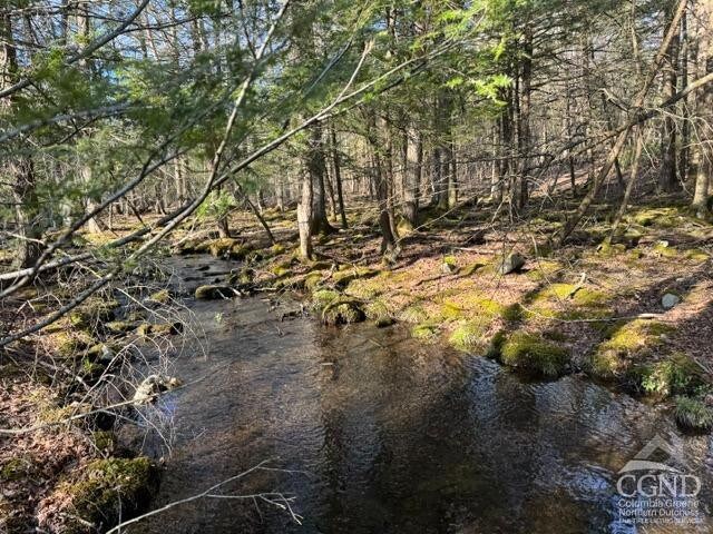 46 Pine Grove Rd, Kerhonkson, NY 12446