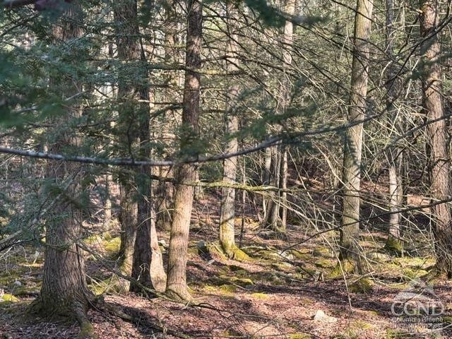 46 Pine Grove Rd, Kerhonkson, NY 12446