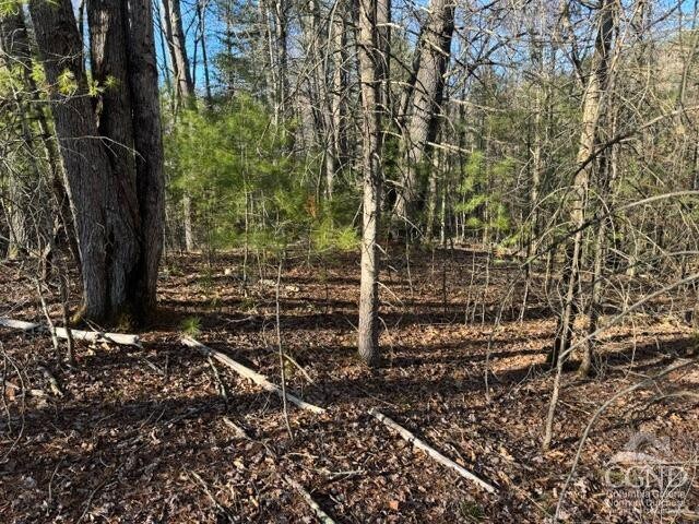 46 Pine Grove Rd, Kerhonkson, NY 12446
