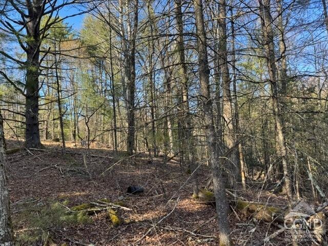 46 Pine Grove Rd, Kerhonkson, NY 12446