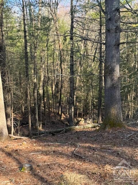 46 Pine Grove Rd, Kerhonkson, NY 12446