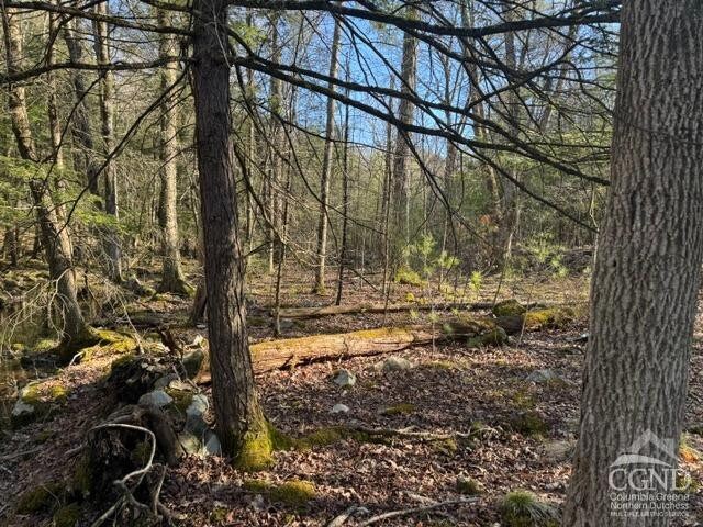 46 Pine Grove Rd, Kerhonkson, NY 12446