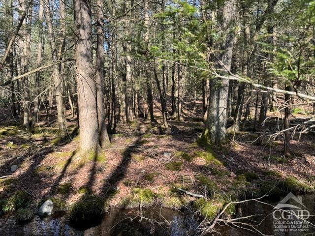 46 Pine Grove Rd, Kerhonkson, NY 12446