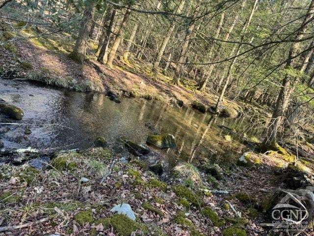 46 Pine Grove Rd, Kerhonkson, NY 12446