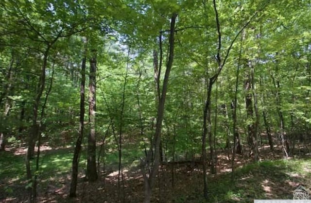 325 Albany Tpke, Nassau, NY 12123 - photo 2