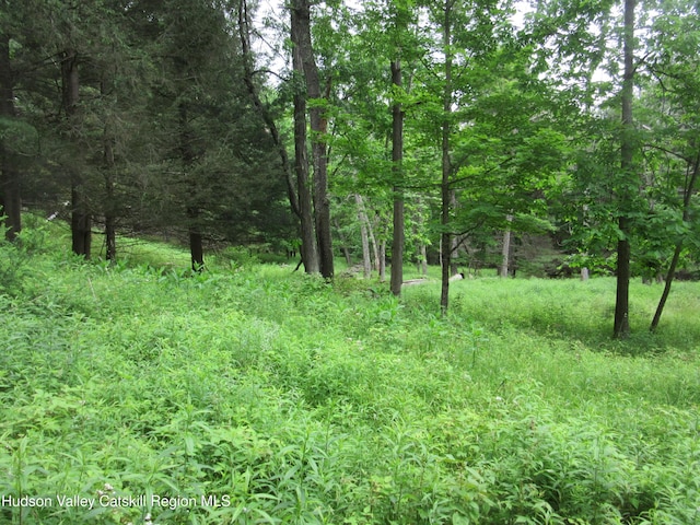 0 Rte 23c, Lot Lexington, NY 12452 - photo 32