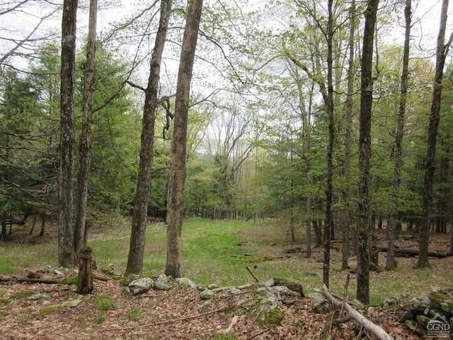 0 Rte 23c, Lot Lexington, NY 12452 - photo 13