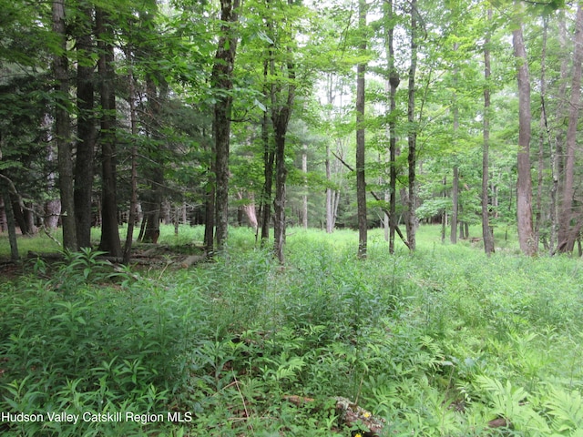 0 Rte 23c, Lot Lexington, NY 12452 - photo 42