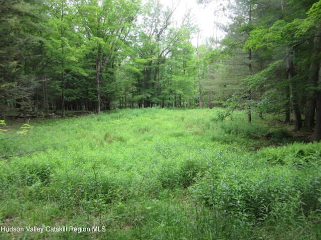 0 Rte 23c, Lot Lexington, NY 12452 - photo 38