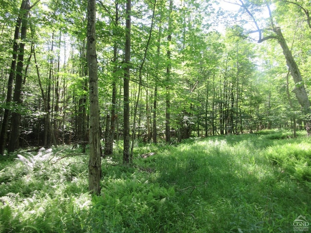 0 Rte 23c, Lot Lexington, NY 12452 - photo 30