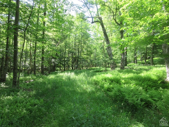 0 Rte 23c, Lot Lexington, NY 12452 - photo 23