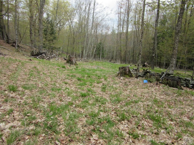 0 Rte 23c, Lot Lexington, NY 12452 - photo 8