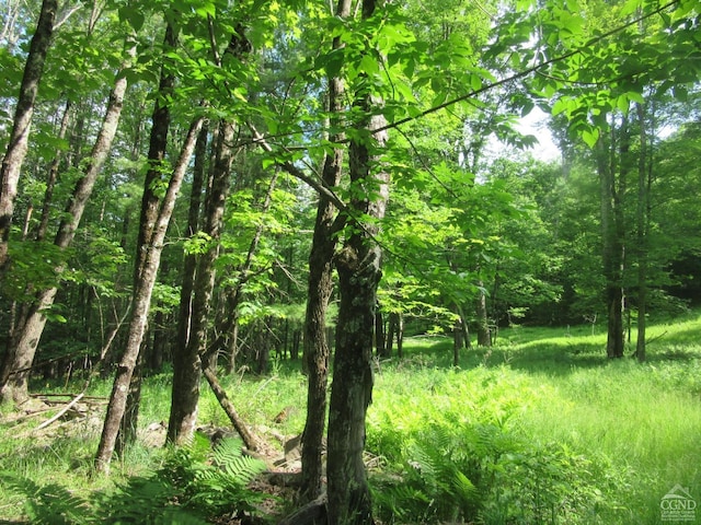0 Rte 23c, Lot Lexington, NY 12452 - photo 14