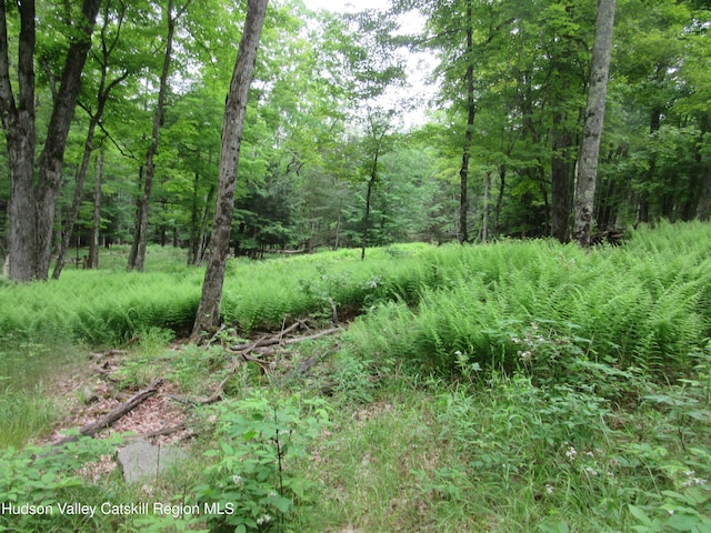 0 Rte 23c, Lot Lexington, NY 12452 - photo 44