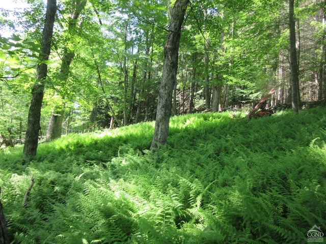 0 Rte 23c, Lot Lexington, NY 12452 - photo 7