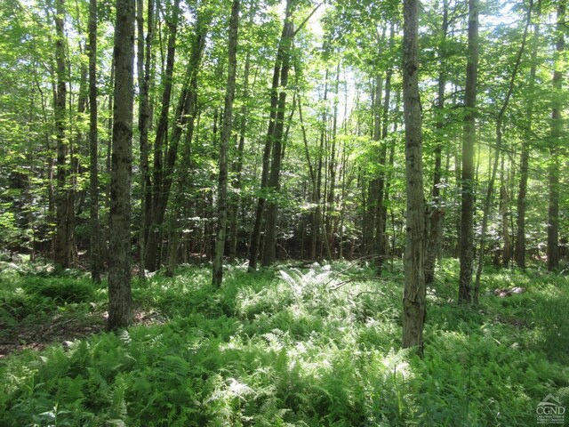 0 Rte 23c, Lot Lexington, NY 12452 - photo 29