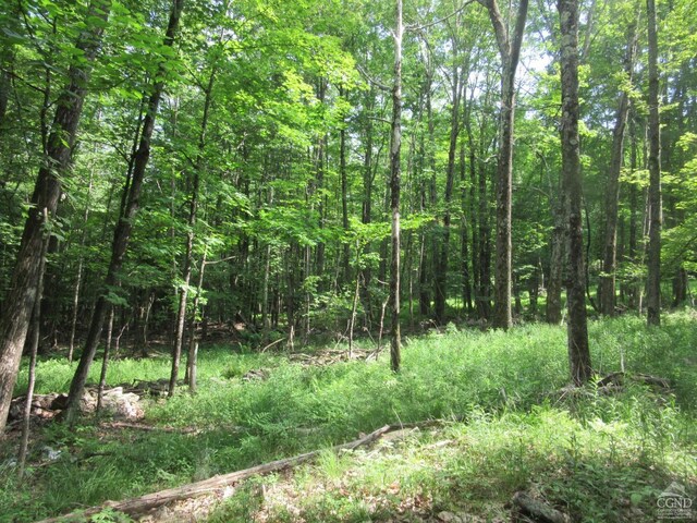 0 Rte 23c, Lot Lexington, NY 12452 - photo 15