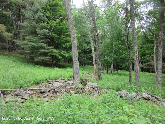 0 Rte 23c, Lot Lexington, NY 12452 - photo 35