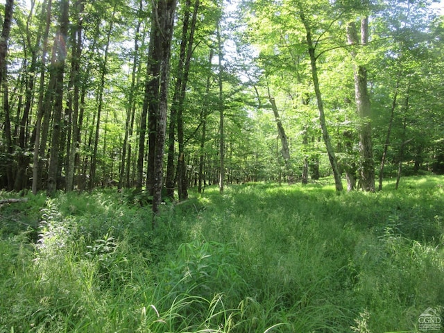 0 Rte 23c, Lot Lexington, NY 12452 - photo 5