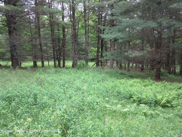 0 Rte 23c, Lot Lexington, NY 12452 - photo 37