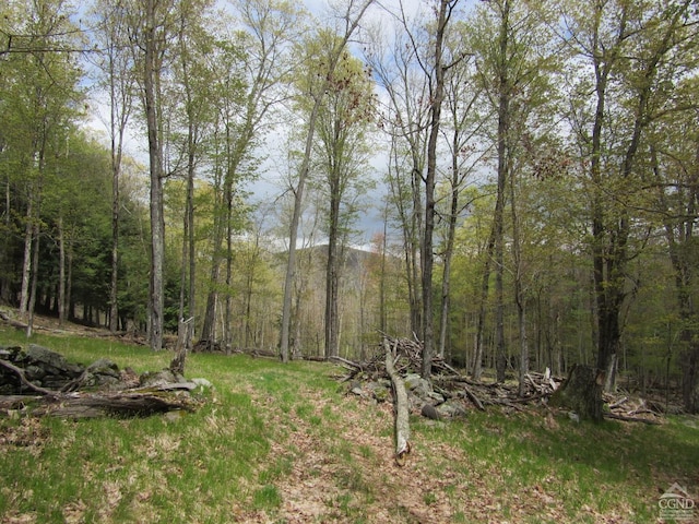 0 Rte 23c, Lot Lexington, NY 12452 - photo 9