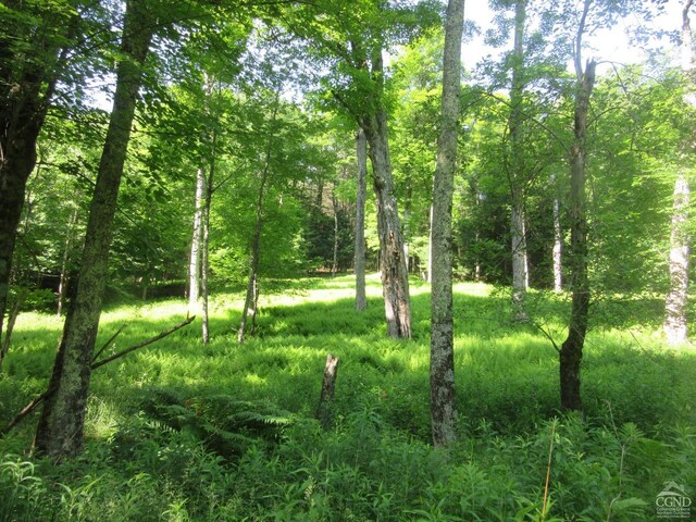 0 Rte 23c, Lot Lexington, NY 12452 - photo 26