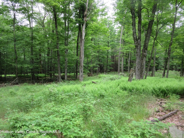 0 Rte 23c, Lot Lexington, NY 12452 - photo 43