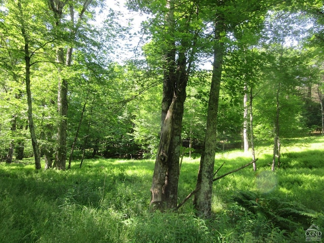 0 Rte 23c, Lot Lexington, NY 12452 - photo 22