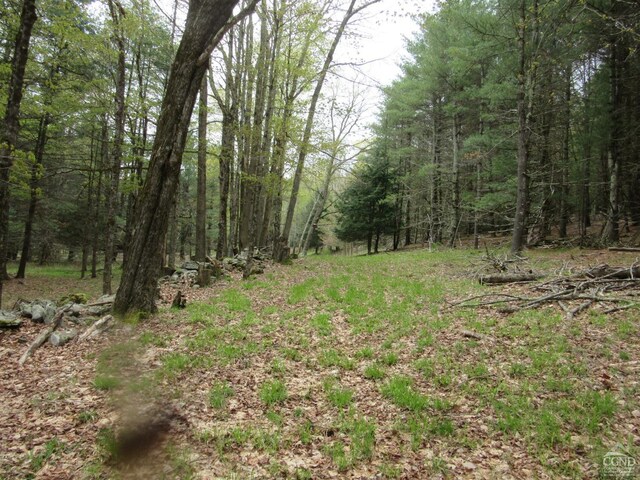 0 Rte 23c, Lot Lexington, NY 12452 - photo 12