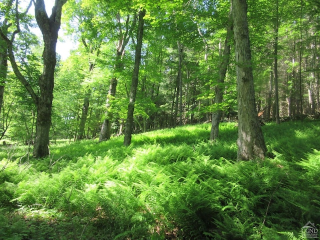 0 Rte 23c, Lot Lexington, NY 12452 - photo 25