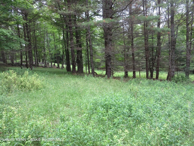 0 Rte 23c, Lot Lexington, NY 12452 - photo 36