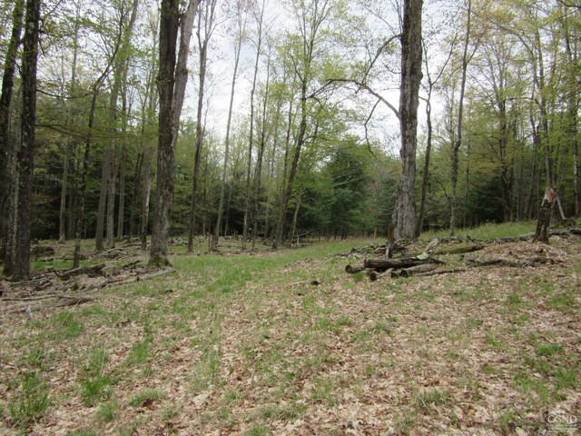 0 Rte 23c, Lot Lexington, NY 12452 - photo 16