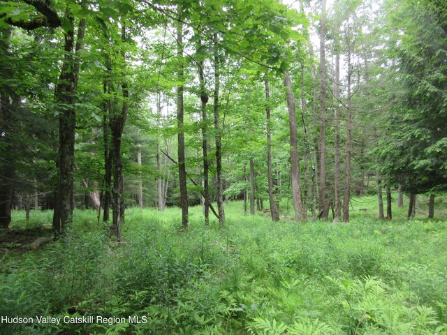 0 Rte 23c, Lot Lexington, NY 12452 - photo 40