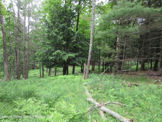 0 Rte 23c, Lot Lexington, NY 12452 - photo 41