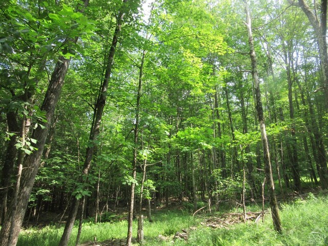 0 Rte 23c, Lot Lexington, NY 12452 - photo 20