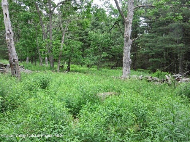 0 Rte 23c, Lot Lexington, NY 12452 - photo 31
