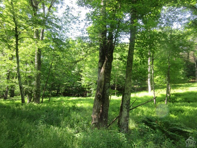 0 Rte 23c, Lot Lexington, NY 12452 - photo 27