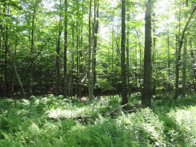 0 Rte 23c, Lot Lexington, NY 12452 - photo 24