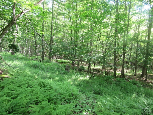 0 Rte 23c, Lot Lexington, NY 12452 - photo 10